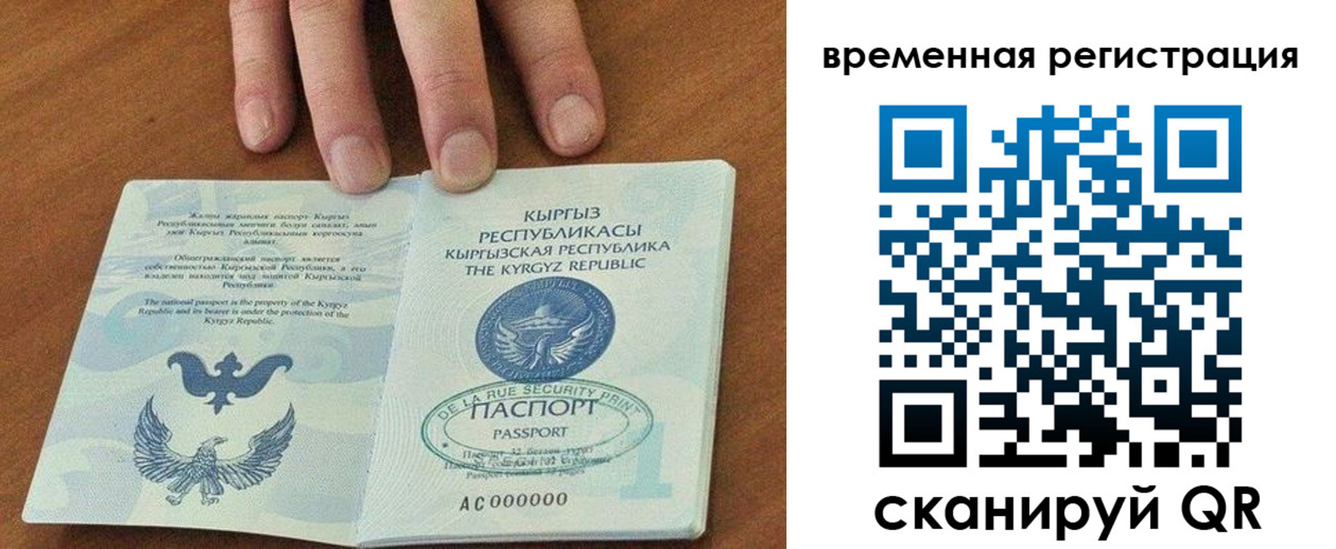 где прописаться в Каргополе